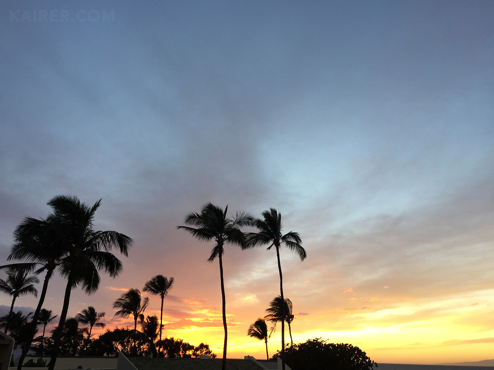 this is the intergalactic information network, welcome.